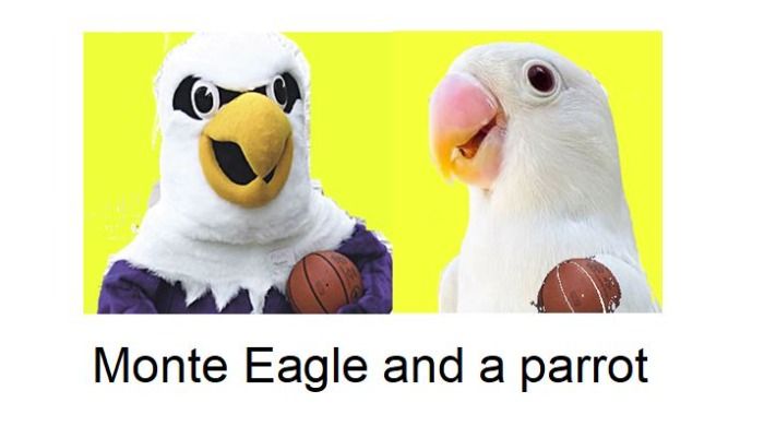Monte and parrot separated at birth